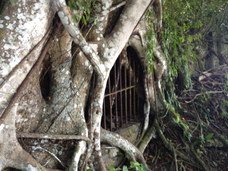 Ruínas do Lazareto, Parque Estadual da Ilha Grande, Vila do Abraão, Angra dos Reis