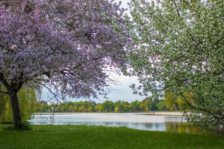 Dominion Arboretum em Ottawa