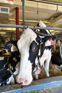 Museu de Agricultura e alimentação de Ottawa no Canadá