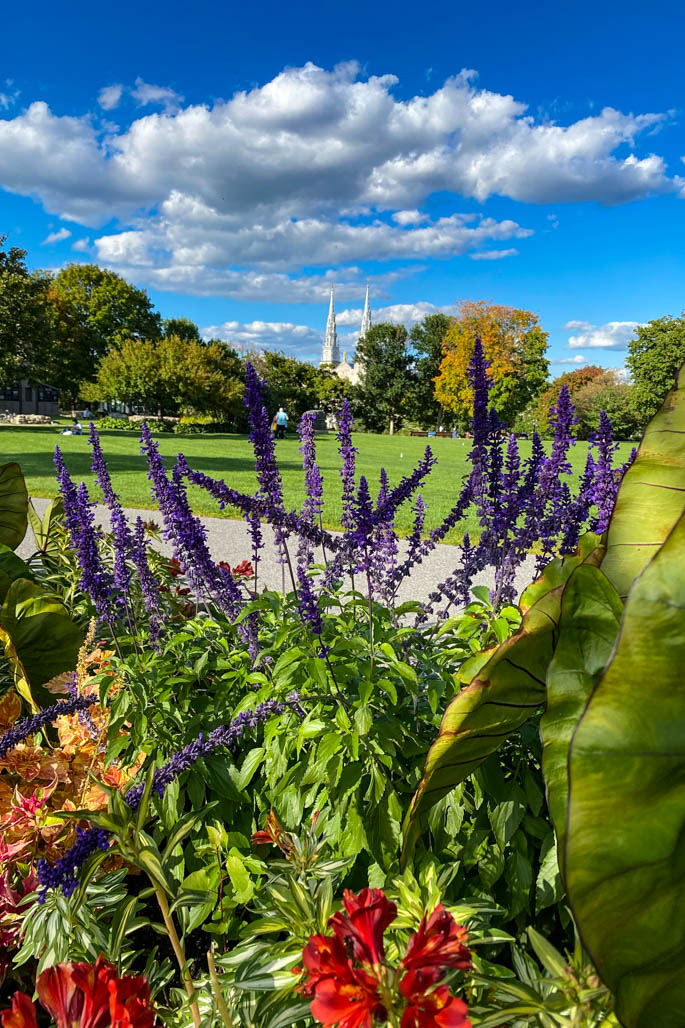 Major´s Hill park Ottawa